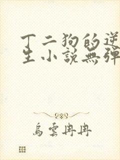 丁二狗的逆袭人生小说无弹窗