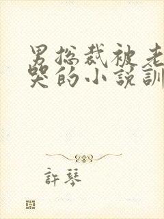 男总裁被老婆揍哭的小说训诫