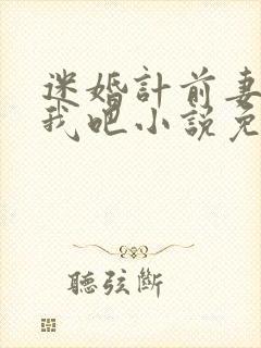 迷婚计前妻从了我吧小说免费阅读