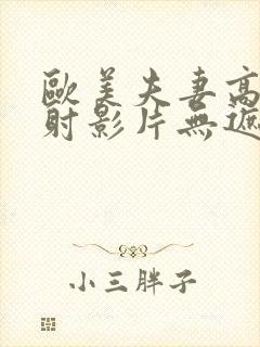 欧美夫妻高清内射影片无遮挡