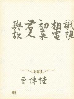 与君初相识恰似故人来电视剧