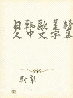 日韩欧美精品久久中文字幕封面