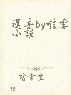 迟音by唯雾的小说