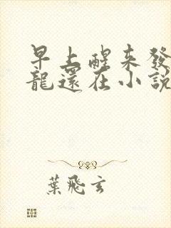 早上醒来发现巨龙还在小说