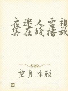 夜迷人电视剧全集在线播放免费观看