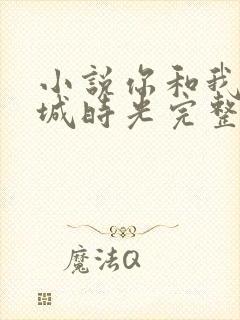 小说你和我的倾城时光完整版