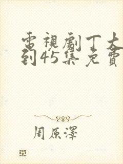 电视剧丁大命1到45集免费观看