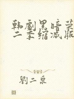 韩剧黑暗荣耀第二季缩减版封面
