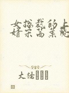 女总裁的上门女婿宋茜叶飞