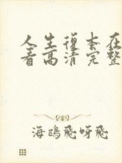 人生复本在线观看高清完整版免费封面