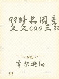 99精品国产热久久cao三级