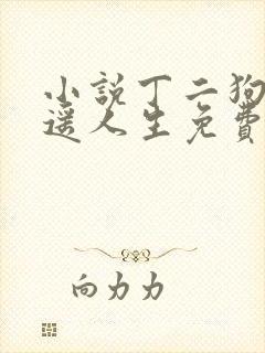 小说丁二狗的逍遥人生免费阅读