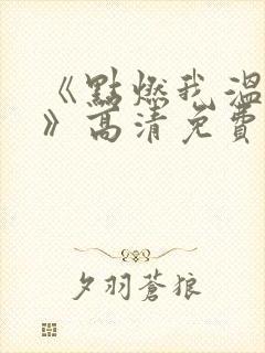 《点燃我温暖你》高清免费观看完整