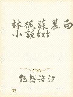 林枫苏慕白穿越小说txt