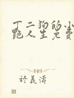 丁二狗的小说猎艳人生免费阅读全文封面