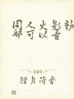 同人火影动画在哪可以看