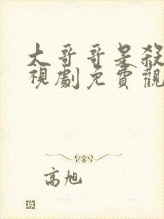 大哥哥是杀手电视剧免费观看全集高清