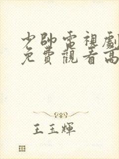 少帅电视剧全集免费观看高清在线观看