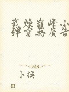 武炼巅峰小说无弹窗无广告