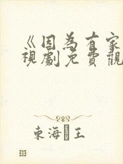 《因为有家》电视剧免费观看