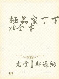 极品家丁下载txt全本