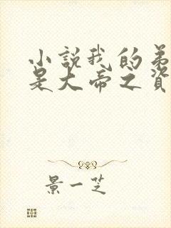 小说我的弟子全是大帝之资别让我通宵免费阅