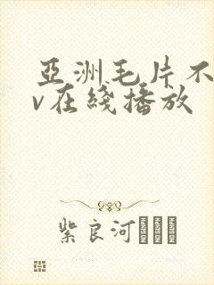 亚洲毛片不卡av在线播放