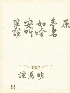 宁安如梦原著小说叫啥名