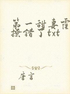 第一甜妻霍先生撩错了txt