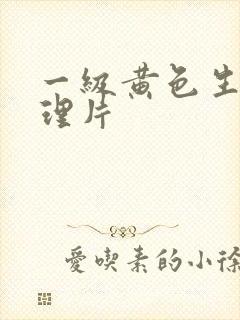 一级黄色生活伦理片