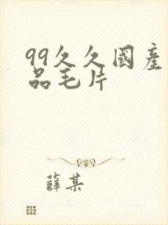 99久久国产精品毛片