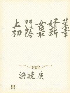 上门女婿叶辰萧初然最新章节免费阅读书