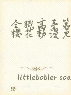 全职高手第二季樱花动漫免费观看