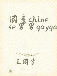 国产chinese男男gaygay网站下载