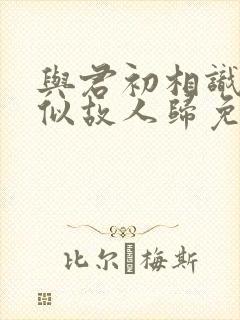 与君初相识·恰似故人归免费观看封面