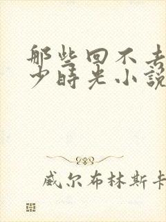 那些回不去的年少时光小说txt下载