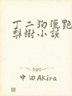 丁二狗猎艳人生梨树小说