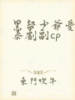 黑帮少爷爱上我泰剧副cp