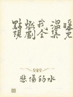 点燃我温暖你电视剧全集免费封面