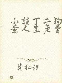 小说丁二狗的肆意人生免费阅读