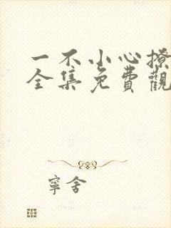 一不小心撩错人全集免费观看短剧