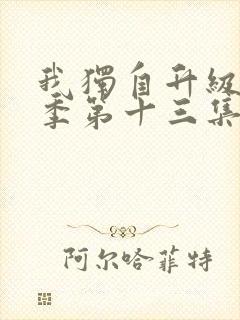 我独自升级第二季第十三集在线观看封面