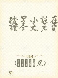 踏星小说在线阅读全文免费