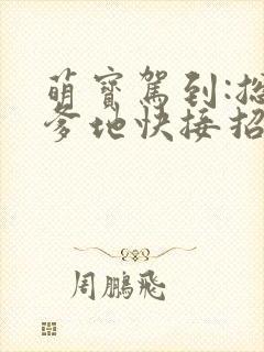 萌宝驾到:总裁爹地快接招