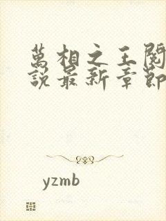 万相之王阅读小说最新章节封面