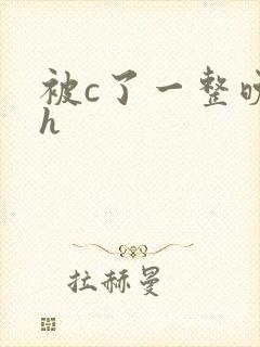 被c了一整晚高h