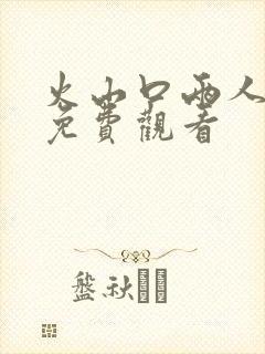 火山口两人电影免费观看