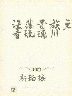 没落贵族免费观看琉璃川