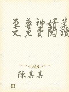 至尊神婿叶昊全文免费阅读最新章节