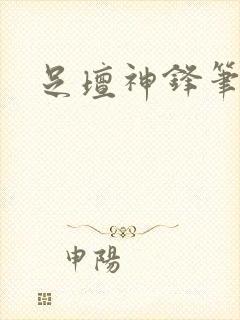 足坛神锋笔趣阁封面